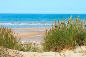 a beach with grass and the ocean in the background at Charmante Maison Oléronnaise ALOCEANE in Saint-Denis-dʼOléron