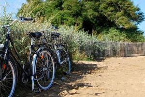 two bikes are parked next to a fence at Charmante Maison Oléronnaise ALOCEANE in Saint-Denis-dʼOléron