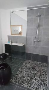 ein Bad mit einer Dusche, einem WC und einem Waschbecken in der Unterkunft Charmante Maison Oléronnaise ALOCEANE in Saint-Denis-dʼOléron