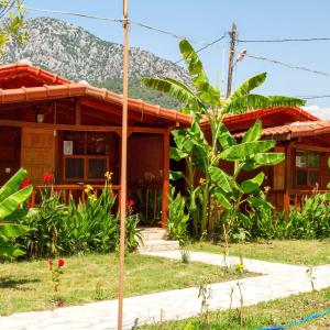 een houten huis met een berg op de achtergrond bij Öyküm apart adrasan in Kumluca