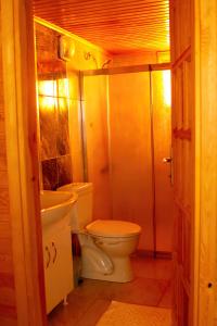 ein Bad mit einem WC und einem Waschbecken in der Unterkunft Öyküm apart adrasan in Kumluca
