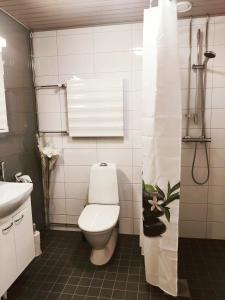 a bathroom with a toilet and a sink at Joutjärven Studio Apartment in Lahti +25 photos