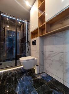 a bathroom with a toilet and a glass shower at Apartament Blue BB in Bielsko-Biala