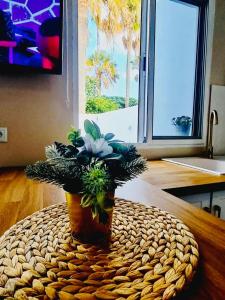 a potted plant sitting on top of a table at Precioso bungalow residencial Santa Marta in Costa Del Silencio