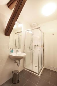 a bathroom with a shower, sink, and toilet at Cett in Náměšť nad Oslavou