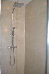 a shower with a shower head in a bathroom at Joli appartement au calme entre Nîmes et Avignon in Meynes