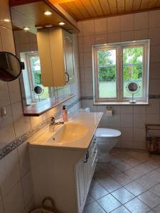 ein Badezimmer mit einem Waschbecken, einem WC und einem Spiegel in der Unterkunft Drömhus på Österlen in Glemminge