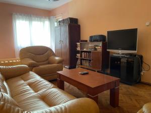 salon z kanapą i telewizorem w obiekcie Rita's Home w Tiranie