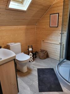Koupelna v ubytování Harghita Log Houses + 37 fotografií