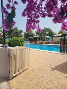 une clôture en face d'une piscine avec des fleurs violettes dans l'établissement Camping Costa Blanca, à El Campello