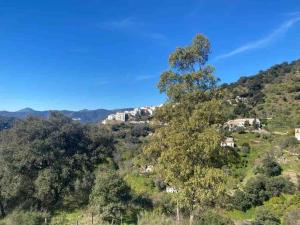 Zdjęcie z galerii obiektu Casa Isabel, naturaleza y descanso en la serranía. w mieście Jubrique