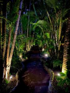 a pathway through a forest of palm trees at night at Pousada Fasani in Ilha de Boipeba