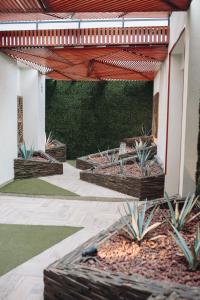 un patio al aire libre con un banco y plantas en Hotel Dali Plaza Ejecutivo en Guadalajara