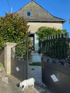 Domácí mazlíčci ubytovaní s hosty v ubytování Gîte Maison Maitri