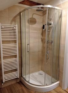 y baño con ducha y puerta de cristal. en Apartmán Kollarovi, en České Budějovice