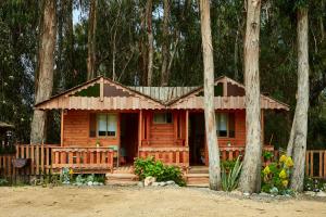 une maison en bois au milieu des arbres dans l'établissement "PINARES DEL MAR" Pequeñas cabañas ECO rusticas sello "S", à Isla Negra