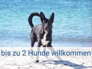 Afbeelding uit fotogalerij van Böltser Hus Ferienwohnungen mit Strandkorb und Kamin 10 Gehminuten zum kurtaxefreien Sandstrand in Neukirchen +35 foto's