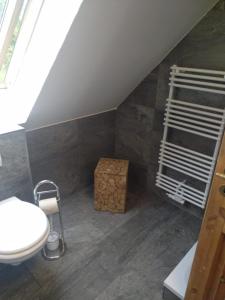 a bathroom with a sink and a toilet in a room at Ferienwohnungen "Weitblick" in Lodmannshagen