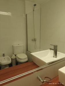 W łazience znajduje się umywalka, toaleta i prysznic. w obiekcie Buenos Aires Apartamento w BuenosAires