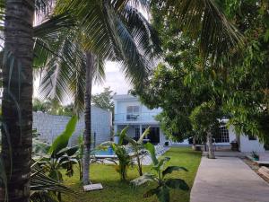 uma casa branca com palmeiras em frente em CASA DYA em Cozumel