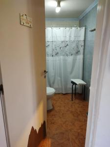 a bathroom with a toilet and a shower curtain at Los Lupinos in El Chalten +10 photos