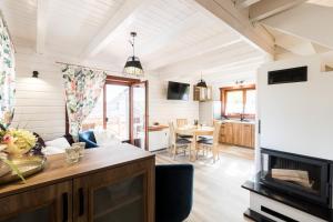 a kitchen and living room with a couch and a fireplace at Domki Cicha Struga in Chocieszow