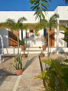 a courtyard with potted plants in front of a building at Lounge Pdd - Espaço inteiro in Aquiraz