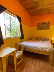 Schlafzimmer mit orangefarbenen Wänden, einem Bett und einem Fenster in der Unterkunft Willhouse Hostel in Pucón