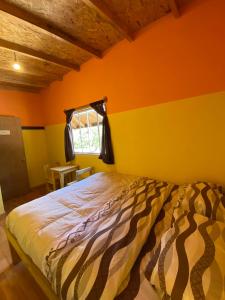 Ảnh trong thư viện ảnh của Willhouse Hostel ở Pucón