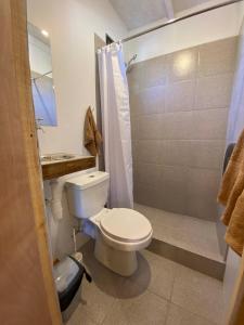 uma casa de banho com um WC, um lavatório e um chuveiro em Willhouse Hostel em Pucón