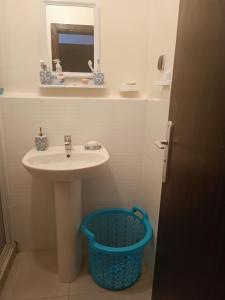 a bathroom with a sink and a mirror and a basket at Appart bades 