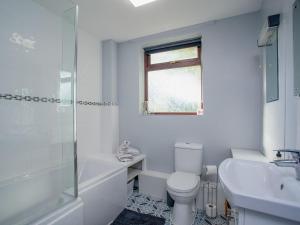 a white bathroom with a toilet and a sink at Purlbridge Bungalow in Southleigh