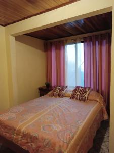 Postel nebo postele na pokoji v ubytování Monteverde Monkey Hostel