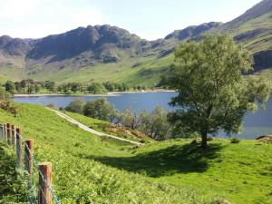 un albero su una collina vicino a un lago di The Oaks Cottage a Penrith