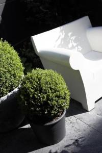 a white bench sitting next to some green plants at Residenz Stadslogement in The Hague