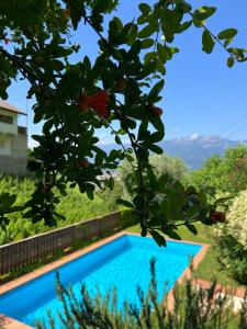 a view of a swimming pool through a tree at Weingut Eberlehof in Bolzano