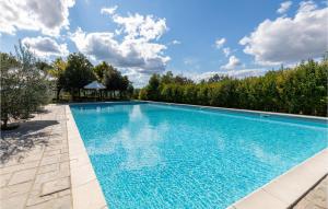 a swimming pool with blue water in a yard with trees at Mandorli in Monte Santa Maria Tiberina +23 photos
