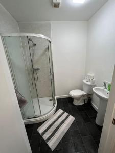 布里斯托的住宿－2 bedroom flat in kingswood，带淋浴、卫生间和盥洗盆的浴室