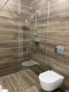 a bathroom with a toilet and a glass shower at Daukanto 5 in Kaunas
