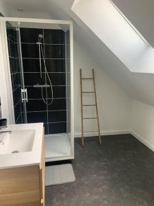 een badkamer met een wastafel, een douche en een ladder bij Maison proche Mont Saint Michel in Beauvoir