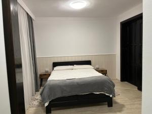 1 dormitorio con 1 cama y 2 mesas. en Casa Mocanitei, en Vişeu de Sus