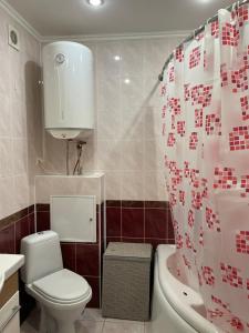 a bathroom with a toilet and a shower curtain at Boryspil Airport Luxury apartment in Boryspil