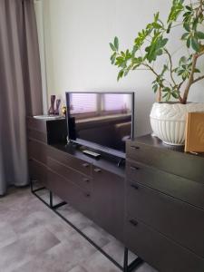 a dresser with a tv and a vase on top of it at Ferienwohnung in Fuldatal bei Kassel in Fuldatal