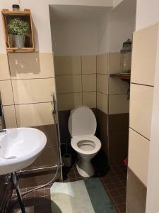 een badkamer met een toilet en een wastafel bij Vanha Kanttorila in Lovisa