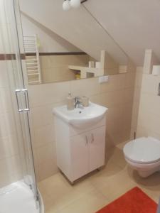 uma casa de banho com um lavatório branco e um WC. em Chata Nova em Milejczyce