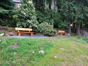 dos bancos de madera sentados en un campo de hierba en Erzgebirgshotel Misnia Bärenfels, en Kurort Altenberg