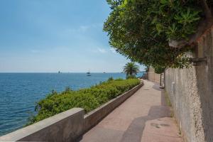 ścieżka spacerowa obok oceanu z drzewem w obiekcie 2P neuf au Coeur de St Jean Cap Ferrat w mieście Saint-Jean-Cap-Ferrat