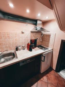 uma pequena cozinha com um lavatório e um fogão em Elena Guesthouse em Kalabaka