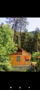 a wooden house in the middle of a forest at Guest House Ilia in Borjomi