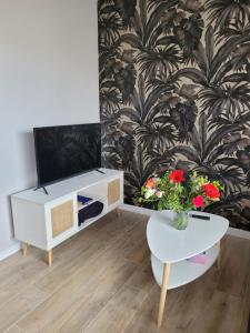 Televízia a/alebo spoločenská miestnosť v ubytovaní Appartement rénové près république